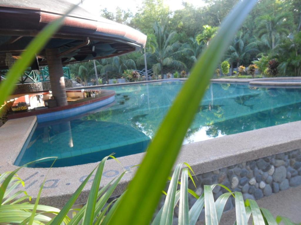 Aqua-Landia Resort Dauin Exterior foto
